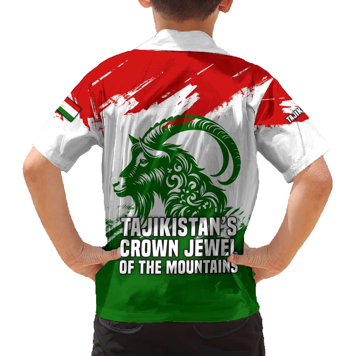 Tajikistan Family Matching Off The Shoulder Long Sleeve Dress and Hawaiian Shirt Markhor with Red Green White Brushstroke Flag with Mountain Goat Design