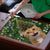 Cat Christmas Tree Puzzle Xmas Holiday Patterns - Wonder Print Shop