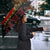 Cat Dashing Through The No Christmas Umbrella Xmas Holiday Patterns - Wonder Print Shop