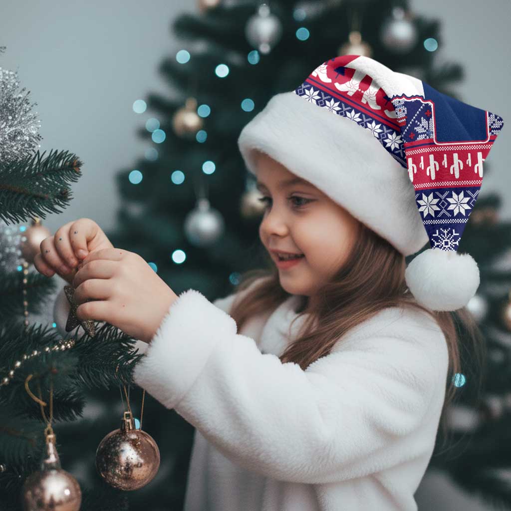 Christmas Texas Map Symbols Christmas Santa Hat Xmas Holiday Patterns - Wonder Print Shop