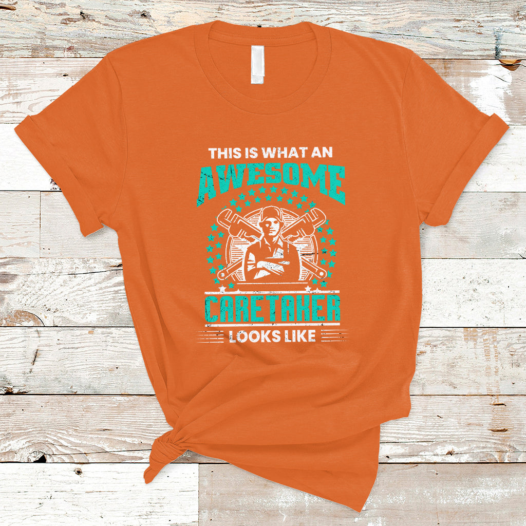 This Is What An Awesome Caretaker T Shirt - Wonder Print Shop