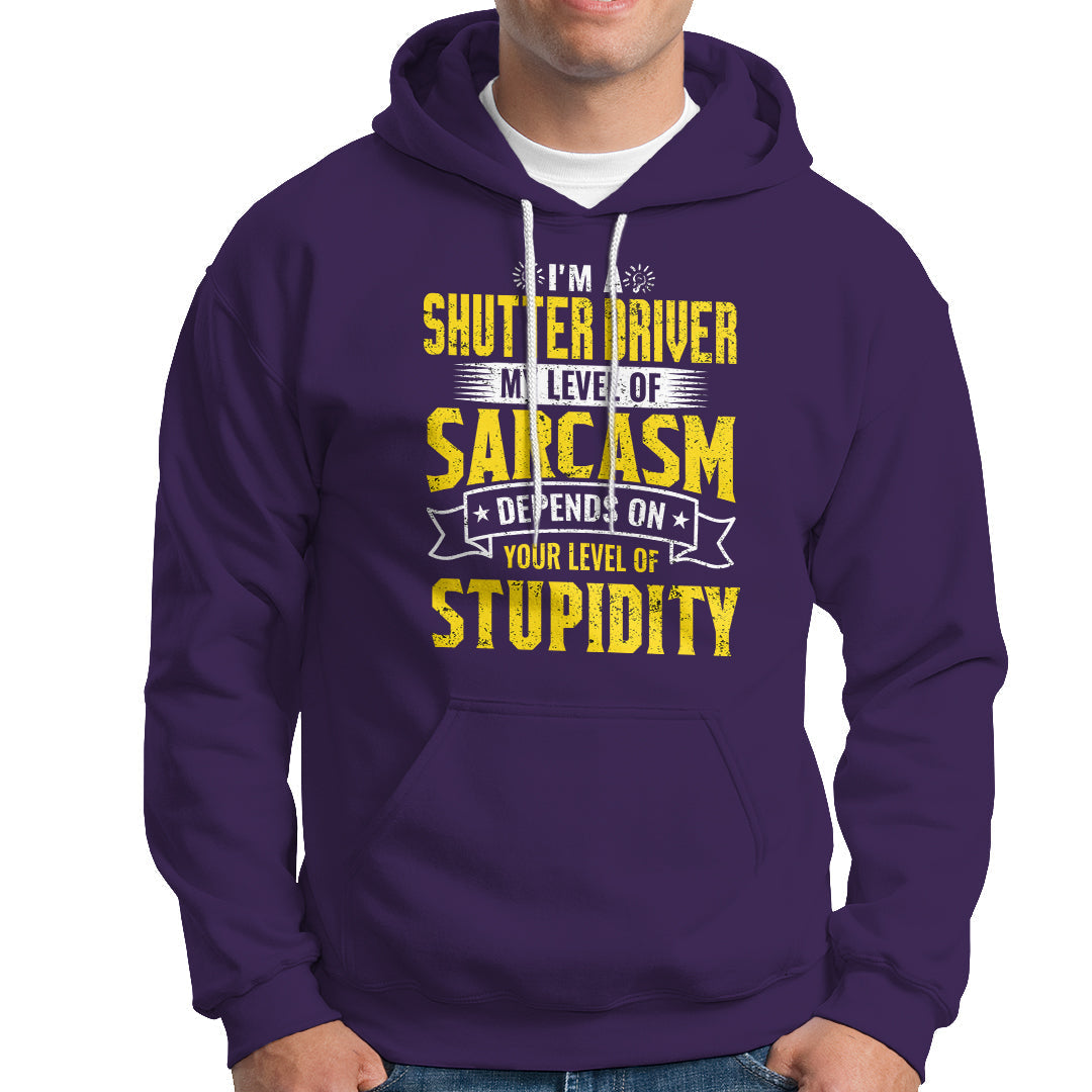 Shutter Driver Hoodie My Level Of Sarcasm Depends On Your Level Of Stupidity - Wonder Print Shop