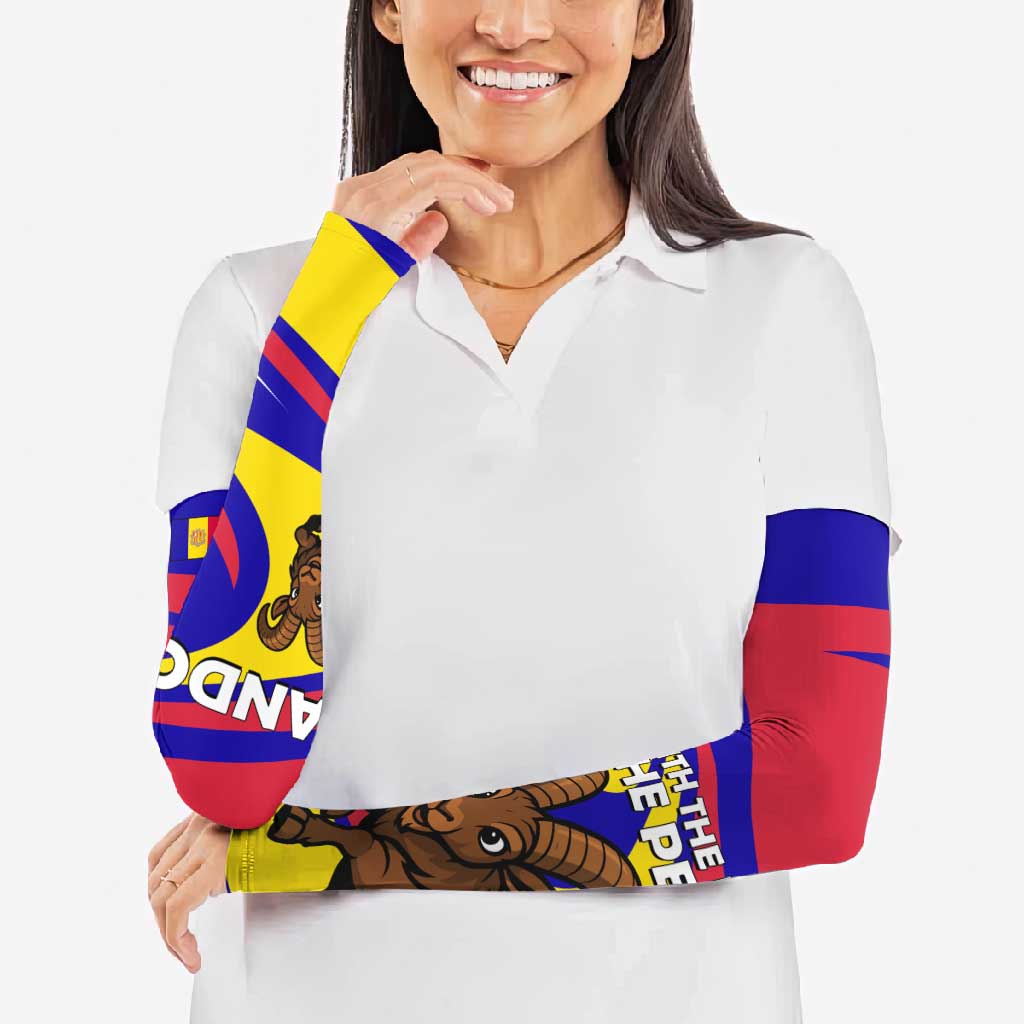 Andorra Arm Sleeves with Cartoon Ibex and Swirl Stripe Design - Wonder Print Shop