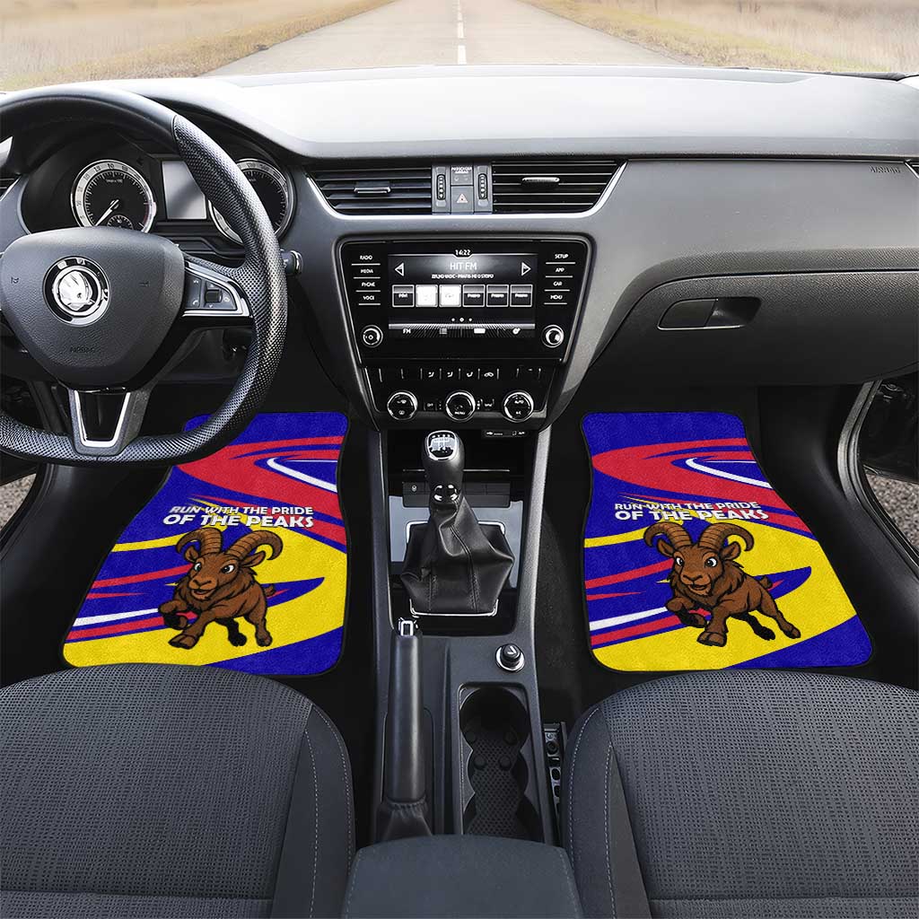 Andorra Car Mats with Cartoon Ibex and Swirl Stripe Design - Wonder Print Shop