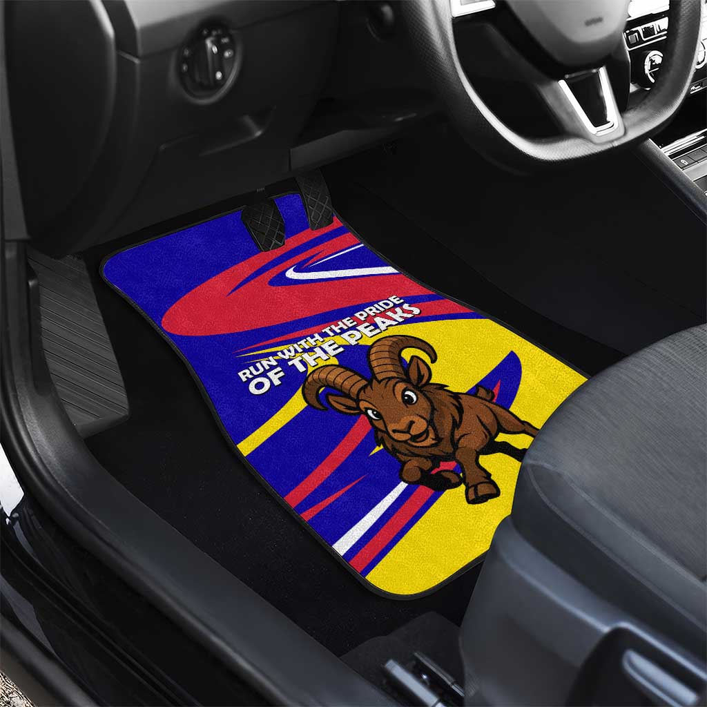 Andorra Car Mats with Cartoon Ibex and Swirl Stripe Design - Wonder Print Shop