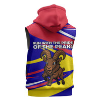Andorra Sleeveless Hoodie with Cartoon Ibex and Swirl Stripe Design - Wonder Print Shop