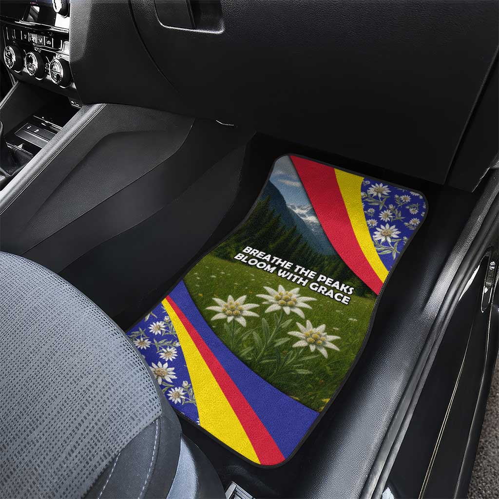 Andorra Car Mats with Edelweiss Mountain Landscape Design - Wonder Print Shop