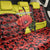 Macedonia Back Car Seat Cover with Red Poppy Flower and Curved Panel Design - Wonder Print Shop