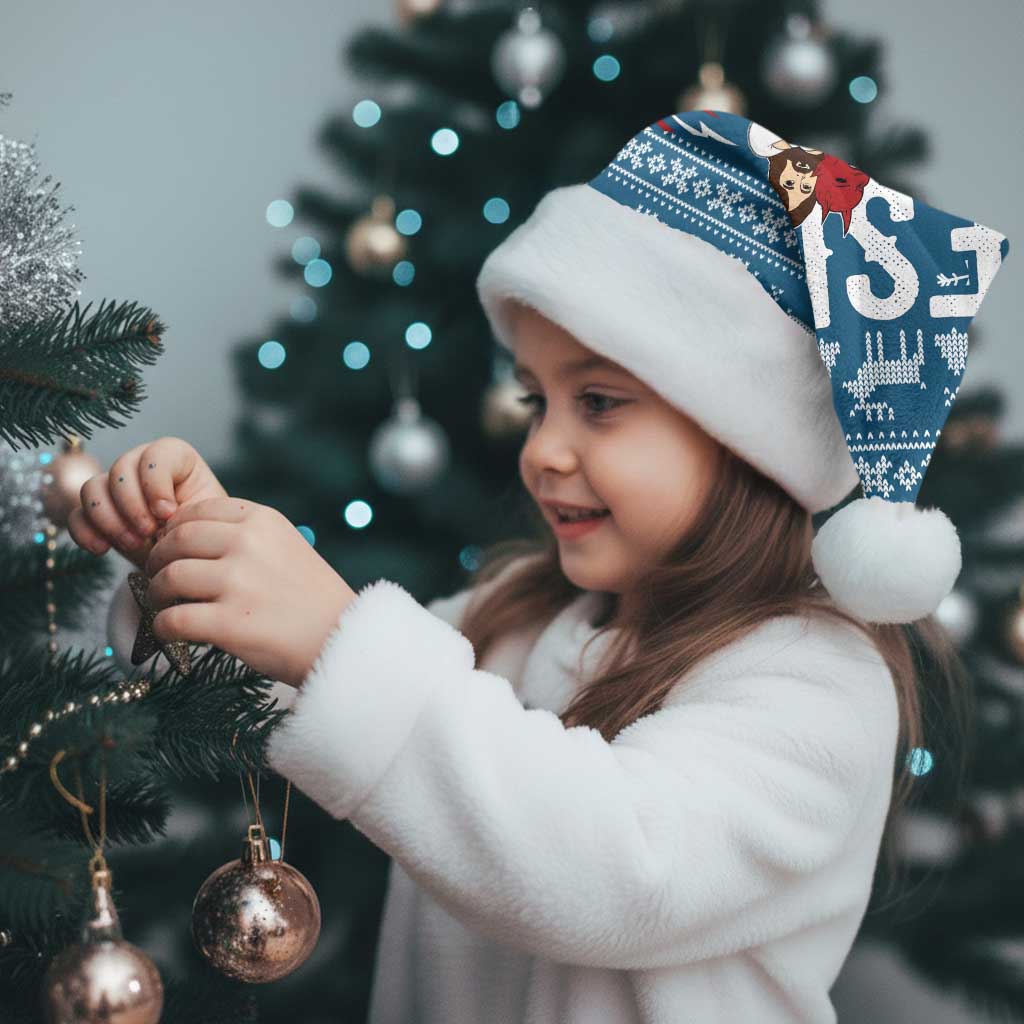 Jesus Has Your Back Jiu Jitsu Christmas Santa Hat Funny Xmas Holiday Patterns - Wonder Print Shop