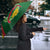 Guinea Bissau Umbrella with Green Yellow Red Swirl Design - Wonder Print Shop