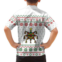 Mexico Christmas Family Matching Long Sleeve Bodycon Dress and Hawaiian Shirt with Piñata Star Design and Red Green Snowflake Pattern - Wonder Print Shop