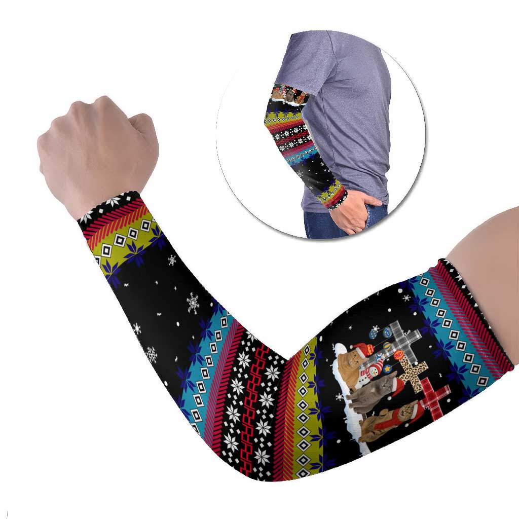 Jesus Is The Reason For The Season Christmas Arm Sleeves Funny Xmas Holiday Patterns - Wonder Print Shop
