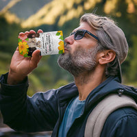 Labrador Retriever Personal Stalker Christmas 4 in 1 Can Cooler Tumbler Funny Xmas Holiday Patterns - Wonder Print Shop