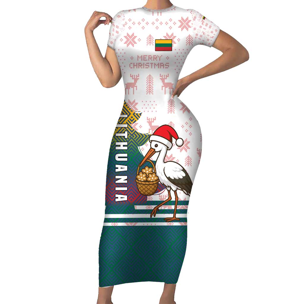Lithuania Christmas Family Matching Short Sleeve Bodycon Dress and Hawaiian Shirt with Stork Basket Snowflakes and Traditional Pattern Design - Wonder Print Shop