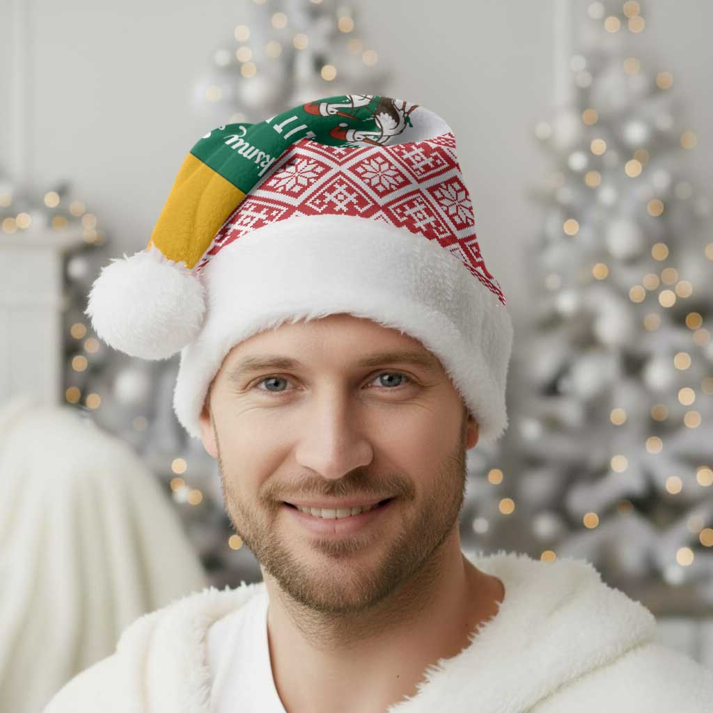 Lithuania Christmas Santa Hat with Santa Sleigh Pulled by Storks and Folk Pattern Design - Wonder Print Shop