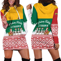Lithuania Christmas Hoodie Dress with Santa Sleigh Pulled by Storks and Folk Pattern Design - Wonder Print Shop