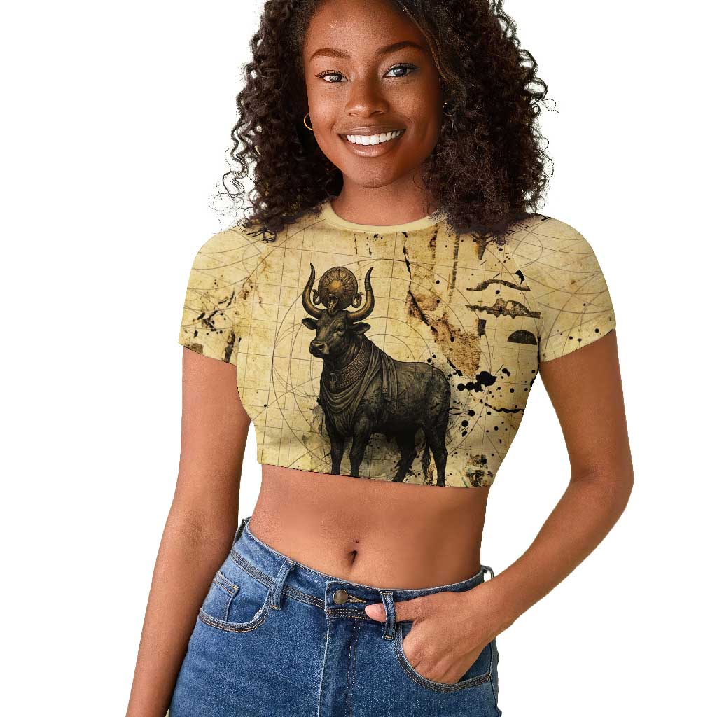 Apis Raglan Cropped T shirt Ancient Egyptian Papyrus Map, Egyptian Crown Bull Illustration - Wonder Print Shop