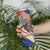 Liechtenstein Skinny Tumbler with Alpine Skiing Red Blue Design and Mountain Landscape - Wonder Print Shop
