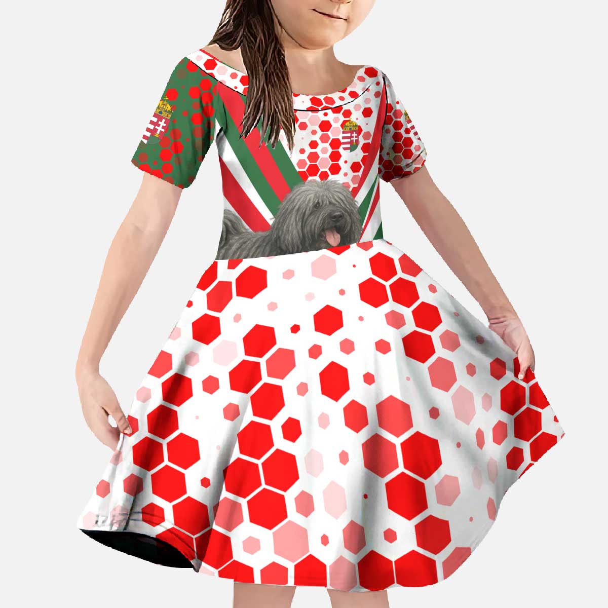 Hungary Family Matching Off The Shoulder Long Sleeve Dress and Hawaiian Shirt with Puli Dog Illustration Design and Red Green Hexagon - Wonder Print Shop