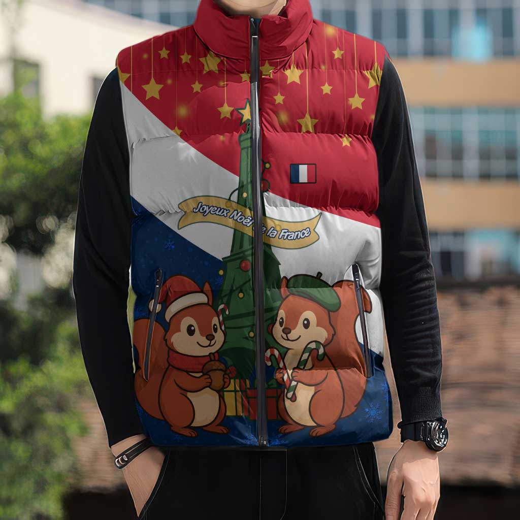 France Christmas Sleeveless Puffer Jacket with Eiffel Tower Chipmunks Candy Canes and Starry Night Design - Wonder Print Shop