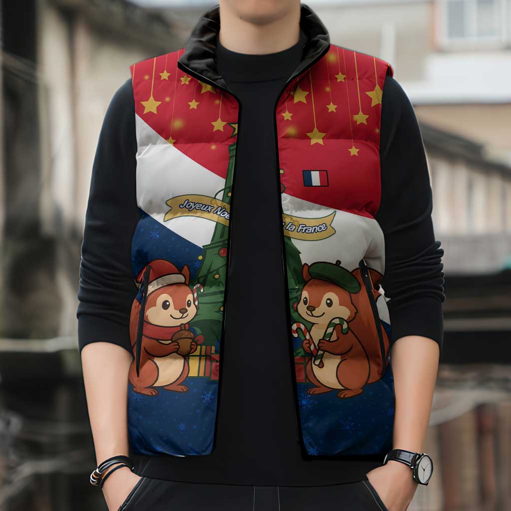 France Christmas Sleeveless Puffer Jacket with Eiffel Tower Chipmunks Candy Canes and Starry Night Design - Wonder Print Shop
