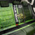 Crappie Fish Green Underwater Graphic Back Car Seat Cover with Custom Name and Fishing Logo Design - Wonder Print Shop