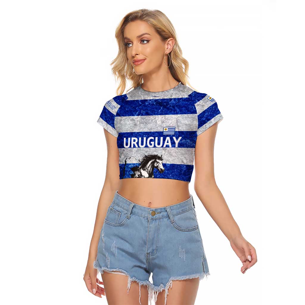 Uruguay Raglan Cropped T Shirt with Wild Horse Illustration Blue Gray Striped - Wonder Print Shop