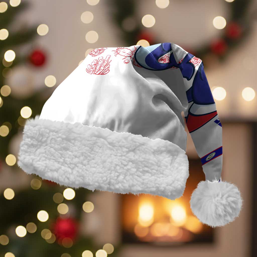 Belize Christmas Santa Hat with Santa Dolphins Coral Reef and Ocean Holiday Theme - Wonder Print Shop