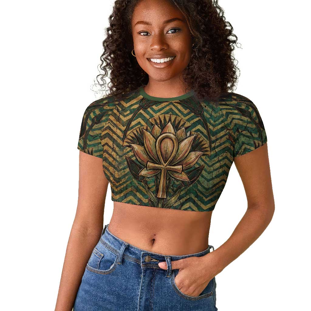 Khepri Raglan Cropped T shirt Ancient Egyptian Chevron, Scarab Ankh and Winged Khepri Guardian Motif - Wonder Print Shop
