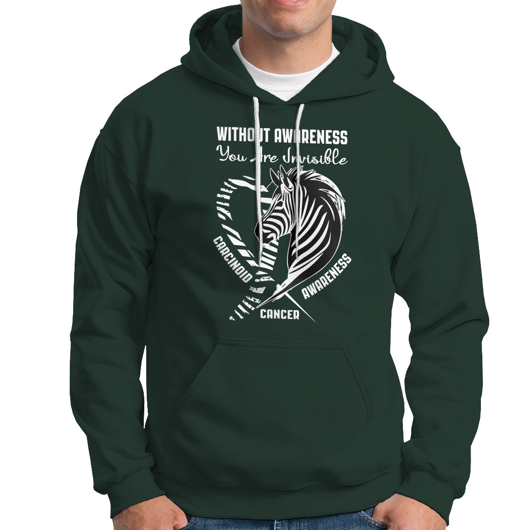 Without Awareness You Are Invisible Carcinoid Cancer Hoodie - Wonder Print Shop