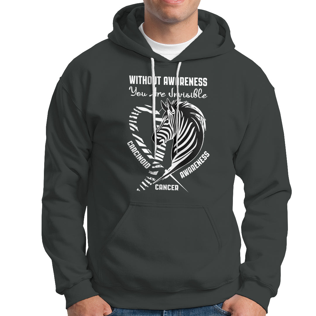 Without Awareness You Are Invisible Carcinoid Cancer Hoodie - Wonder Print Shop