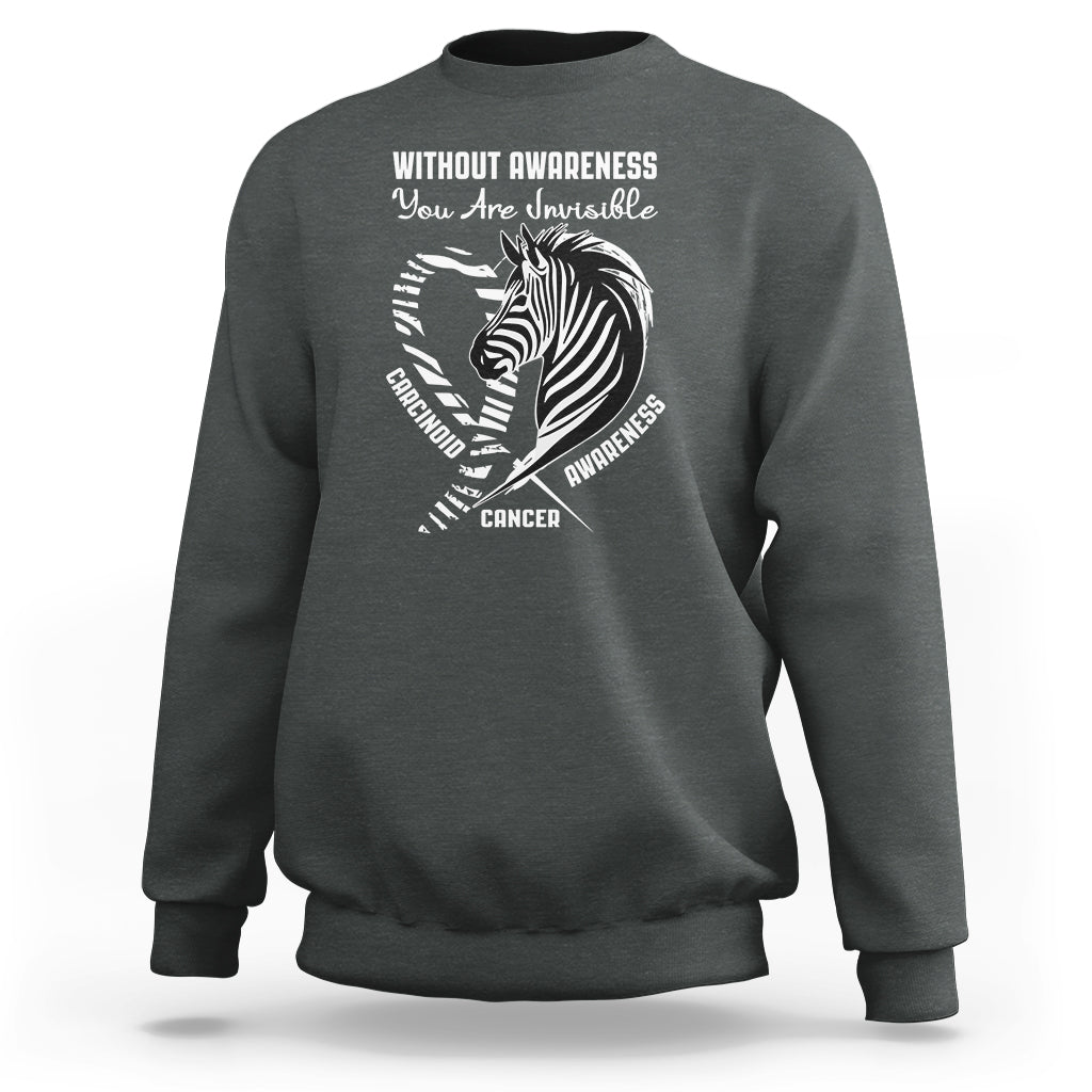 Without Awareness You Are Invisible Carcinoid Cancer Sweatshirt - Wonder Print Shop