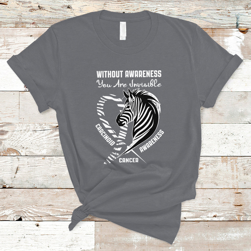 Without Awareness You Are Invisible Carcinoid Cancer T Shirt - Wonder Print Shop