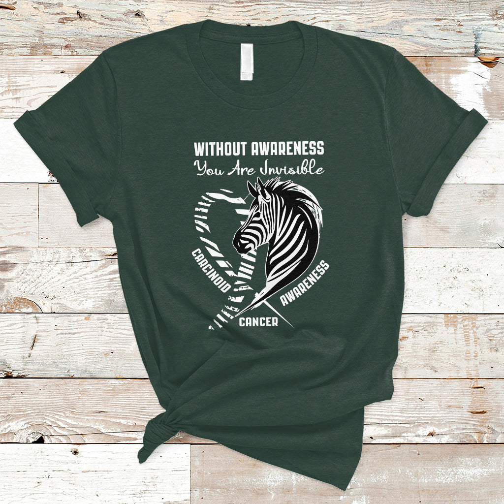 Without Awareness You Are Invisible Carcinoid Cancer T Shirt - Wonder Print Shop