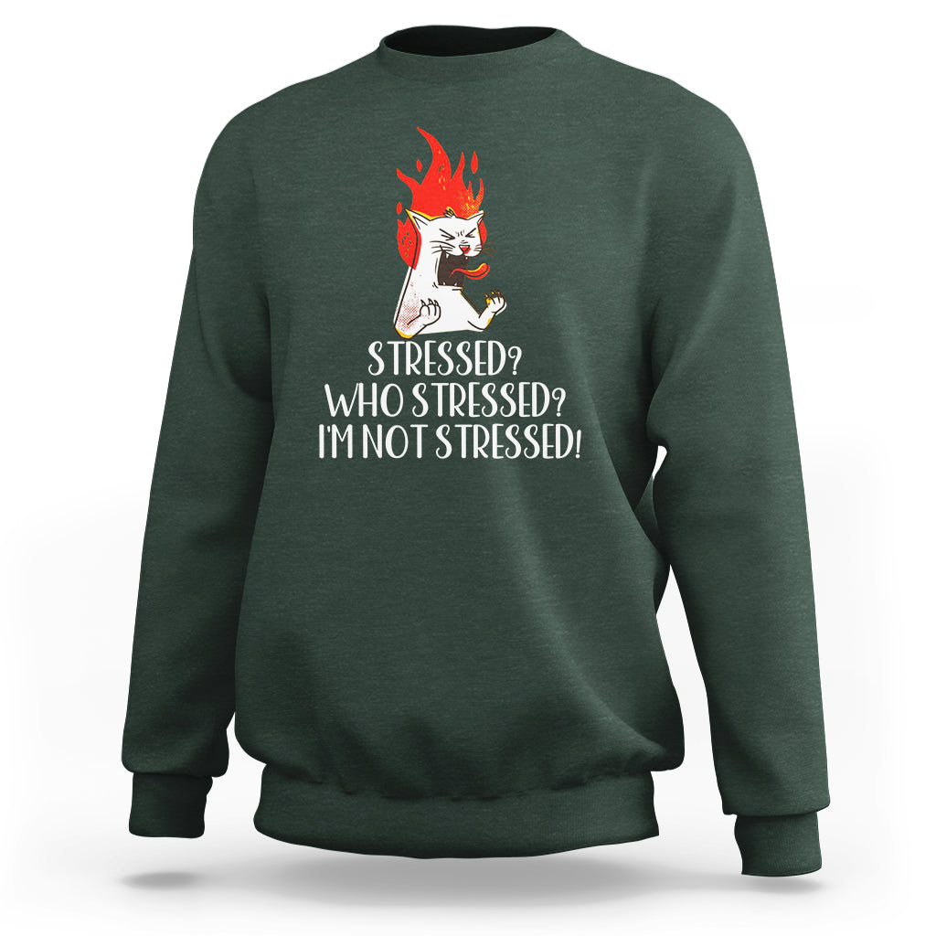 Stressed Who's Stressed? I'm Not Stressed Funny Angry Cat Sweatshirt - Wonder Print Shop