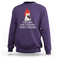 Stressed Who's Stressed? I'm Not Stressed Funny Angry Cat Sweatshirt - Wonder Print Shop