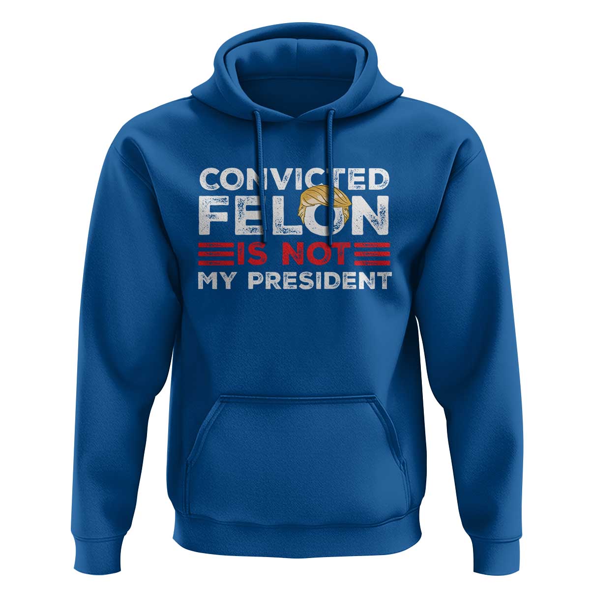 Convicted Felin Is Not My President Hoodie