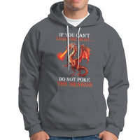Do Not Poke The Cool Dragon Flame-Spewing Flying Mythical Creature Hoodie - Wonder Print Shop