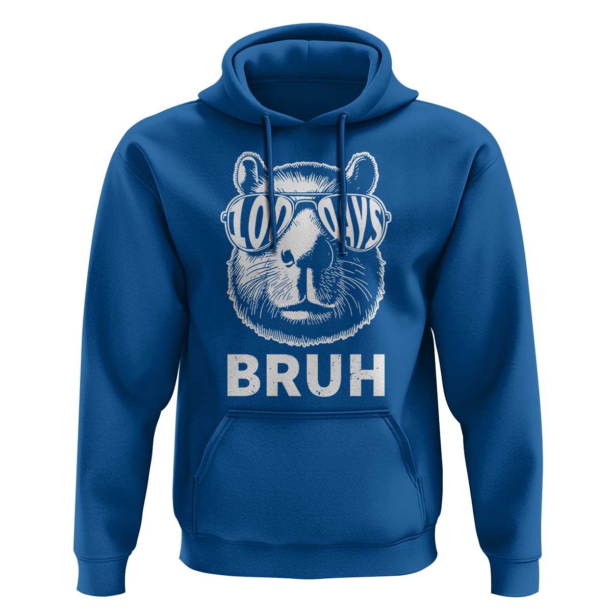 100th Day Of School Capybara Hoodie 100 Days Bruh Cool Capy Bara