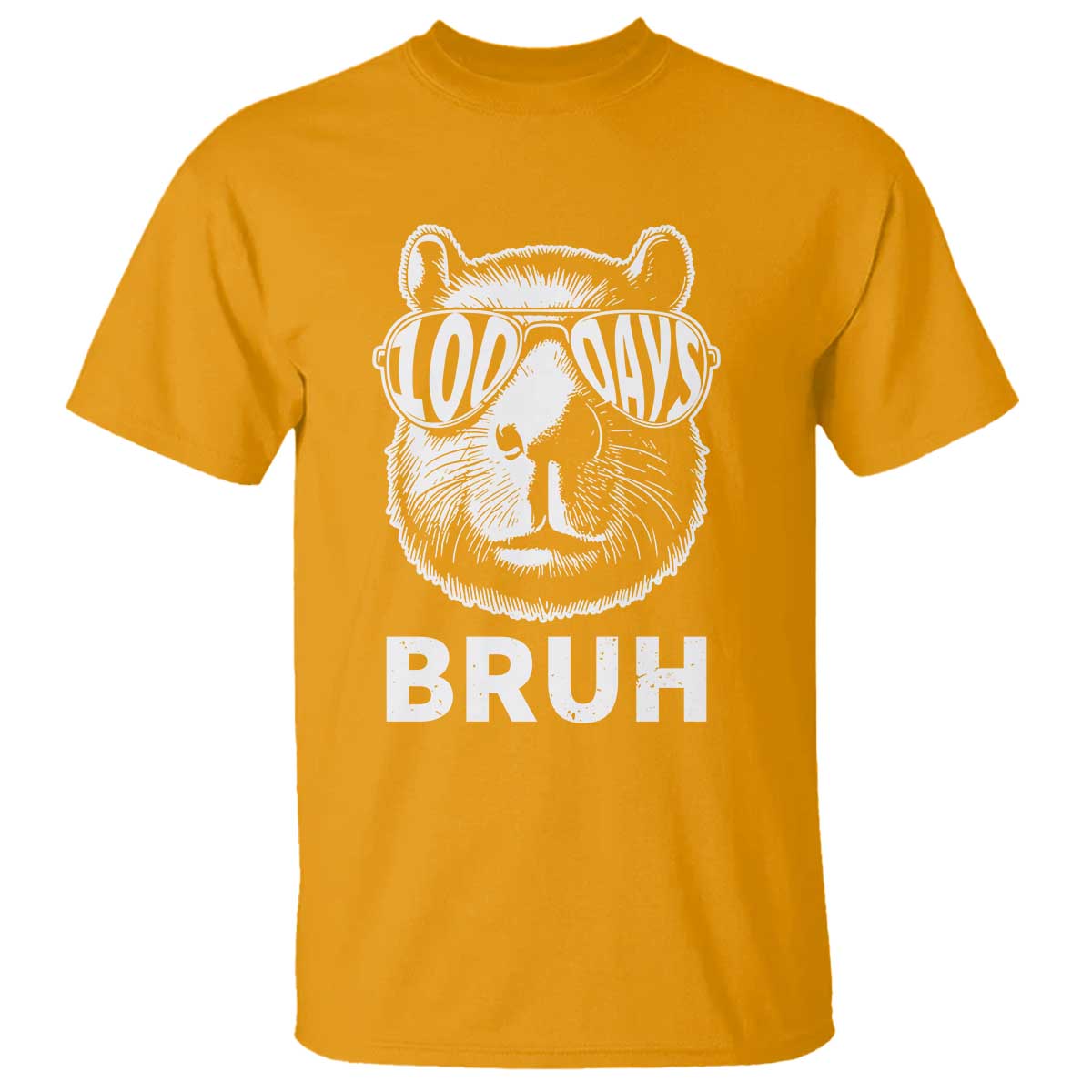 100th Day Of School Capybara T Shirt 100 Days Bruh Cool Capy Bara - Wonder Print Shop