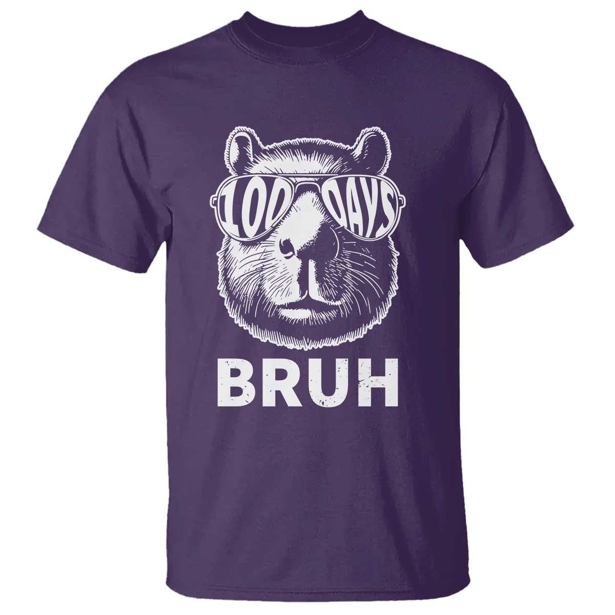 100th Day Of School Capybara T Shirt 100 Days Bruh Cool Capy Bara - Wonder Print Shop