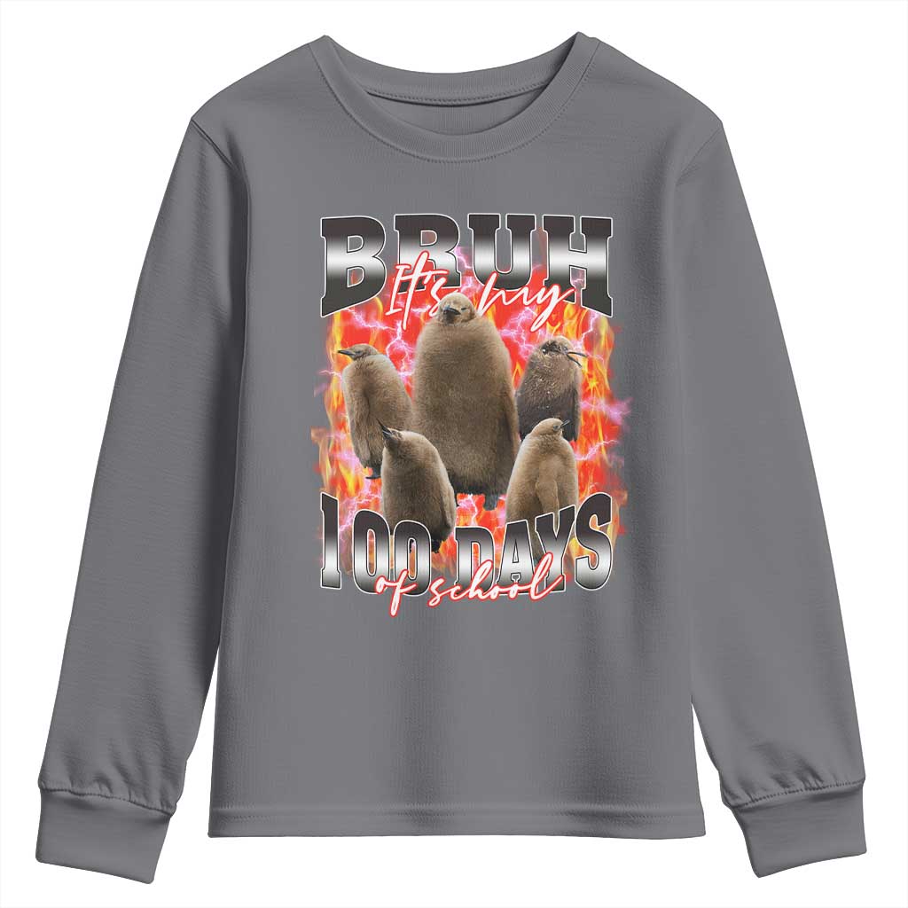 Funny Pesto Bruh It's My 100 Days Of School Youth Sweatshirt