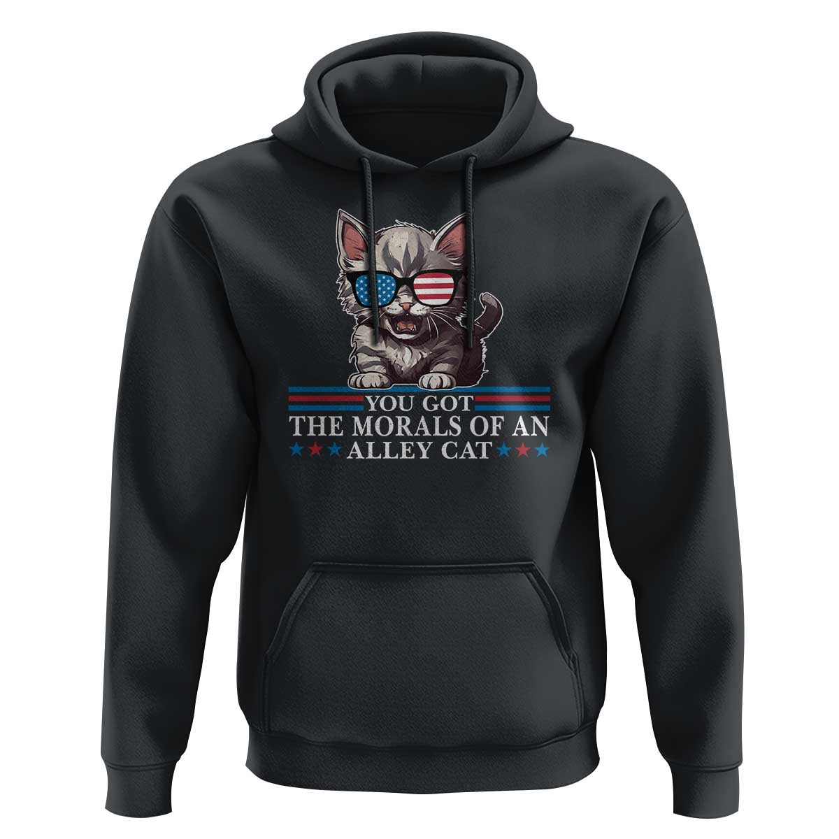 US President Election Debate 2024 Hoodie Morals Of An Alley Cat - Wonder Print Shop