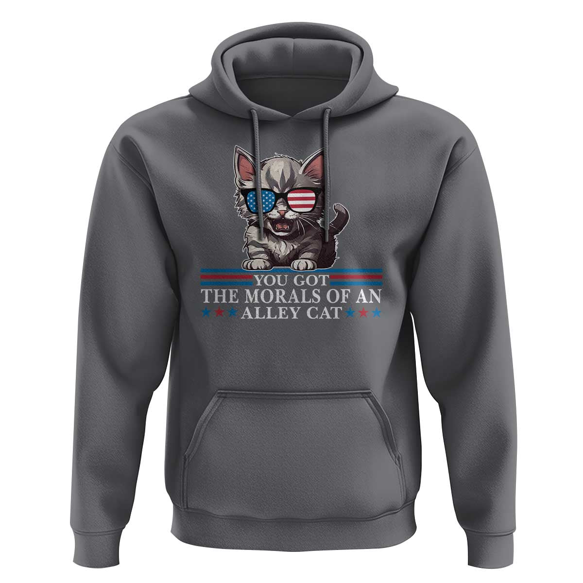US President Election Debate 2024 Hoodie Morals Of An Alley Cat - Wonder Print Shop