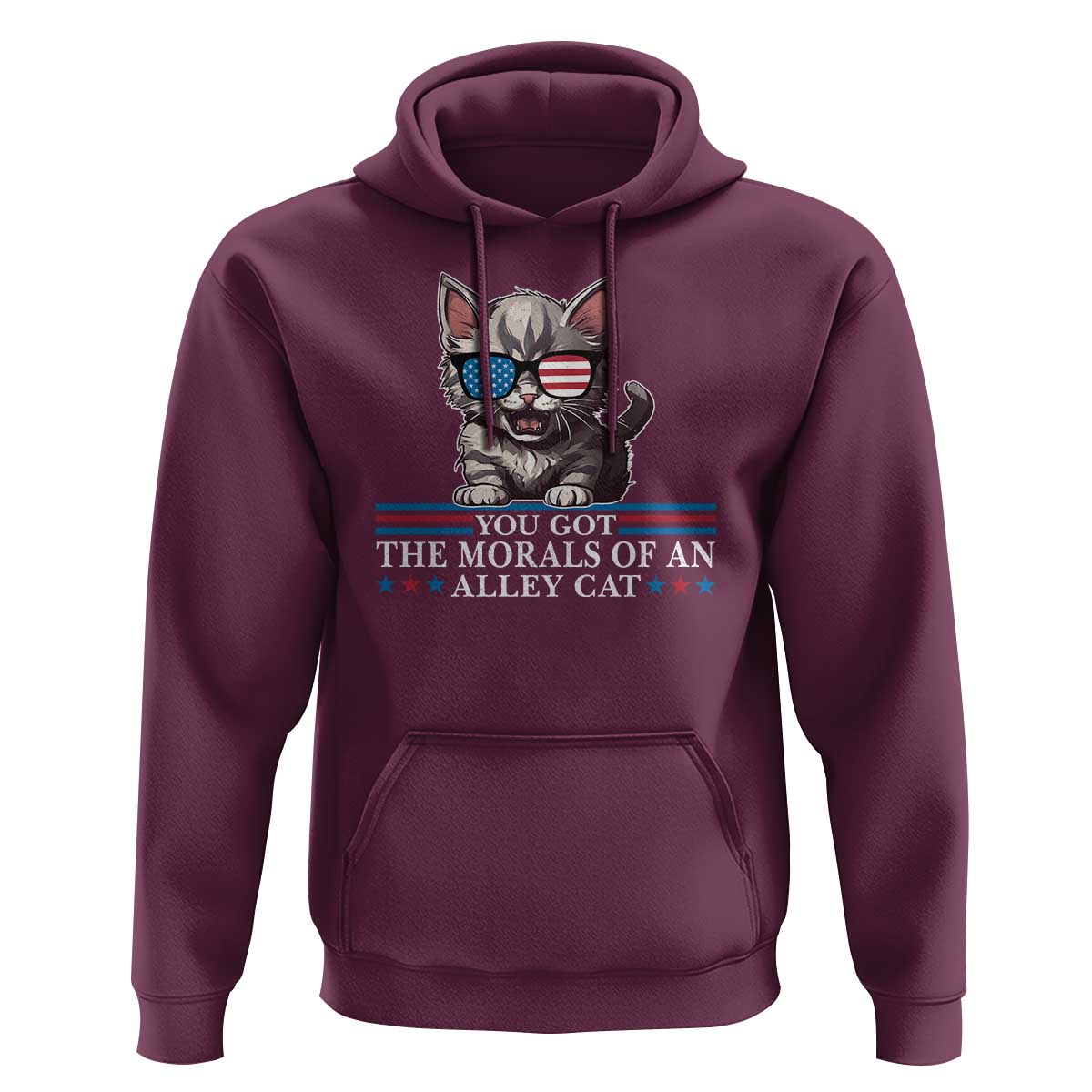 US President Election Debate 2024 Hoodie Morals Of An Alley Cat - Wonder Print Shop