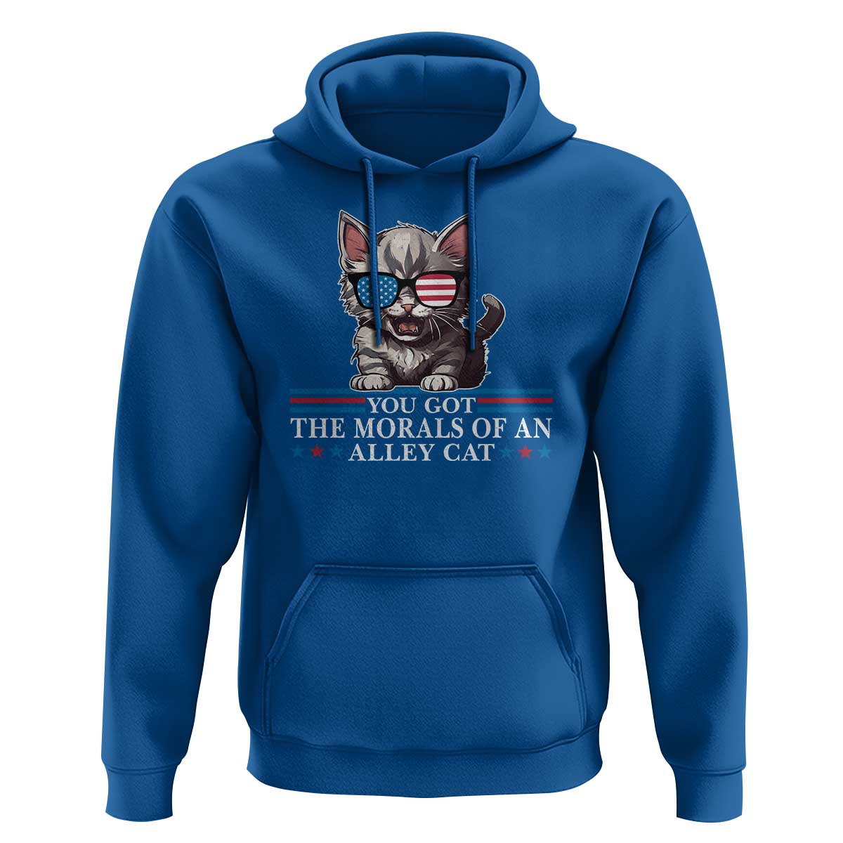 US President Election Debate 2024 Hoodie Morals Of An Alley Cat - Wonder Print Shop