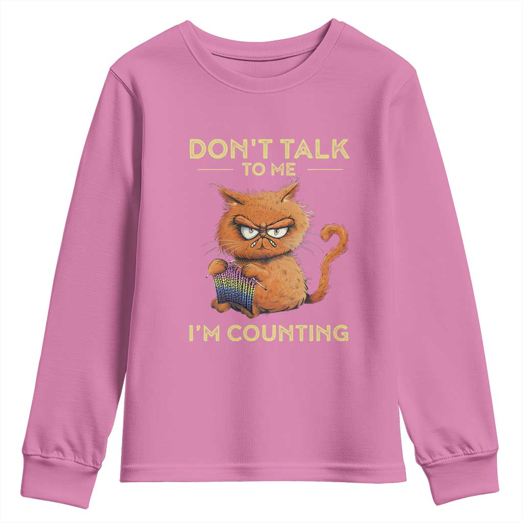 Funny Crochet Cat Youth Sweatshirt Don't Talk To Me I'm Counting