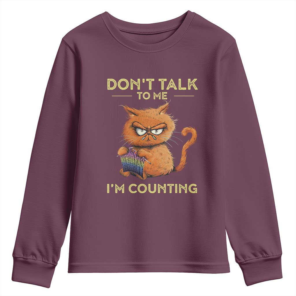 Funny Crochet Cat Youth Sweatshirt Don't Talk To Me I'm Counting