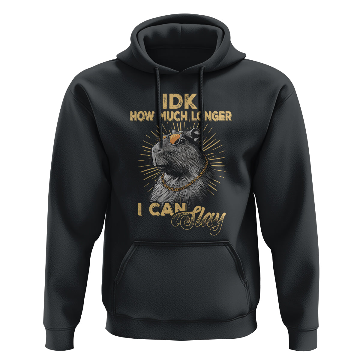 Capybara Lover Hoodie Idk How Much Longer I Can Slay Cool Capy - Wonder Print Shop