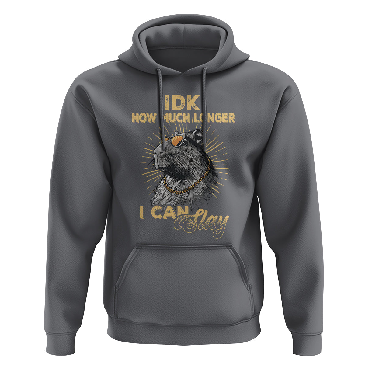 Capybara Lover Hoodie Idk How Much Longer I Can Slay Cool Capy - Wonder Print Shop